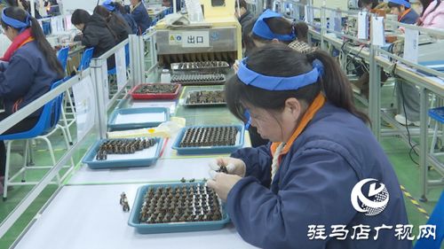 泌陽銘普電子 以科技為引擎，沖刺首季開門紅，引領通信技術新浪潮